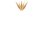 Casa Loy tequilera logotipo