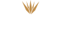 casa-loy-tequileralogo